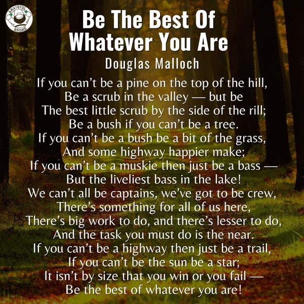 Inspirational Poems - Be The Best Of Whatever You Are 