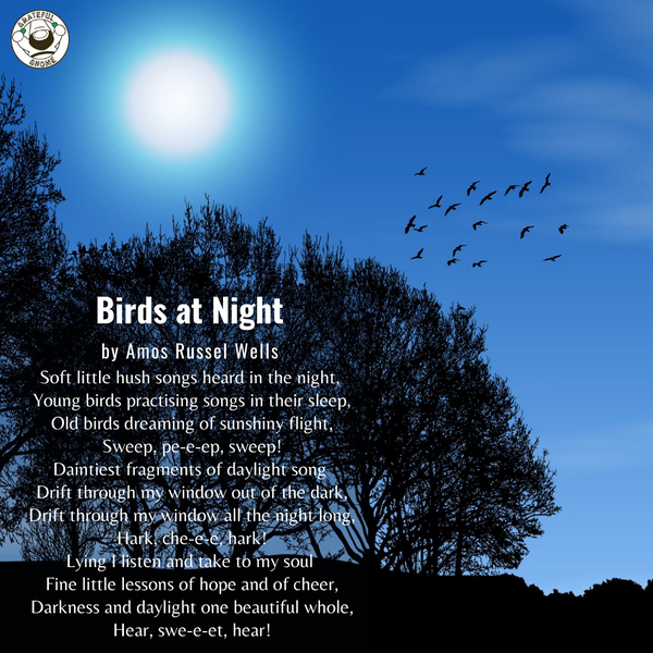 Bird Poems - Birds at Night
