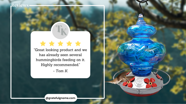 5 Star Review - Blue Hummingbird Hummingbird Feeder