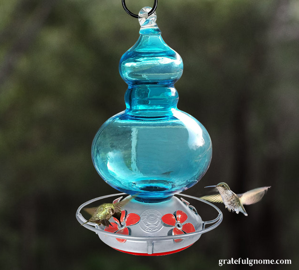 hummingbird-feeding-with-a-beautiful-feeder