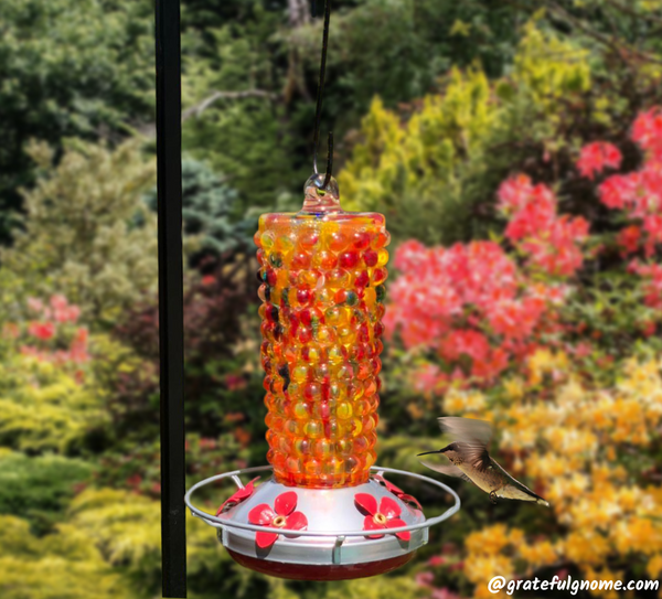 Attract Hummingbirds To Your Yard
