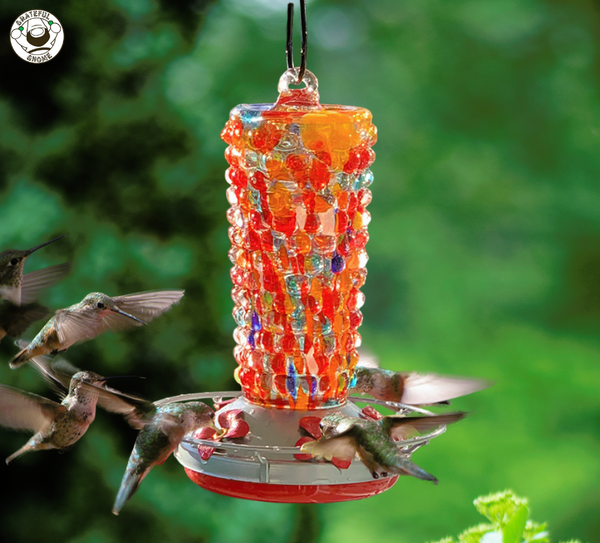 Attract Hummingbirds with Beautiful and Unique Hummingbird Feeder