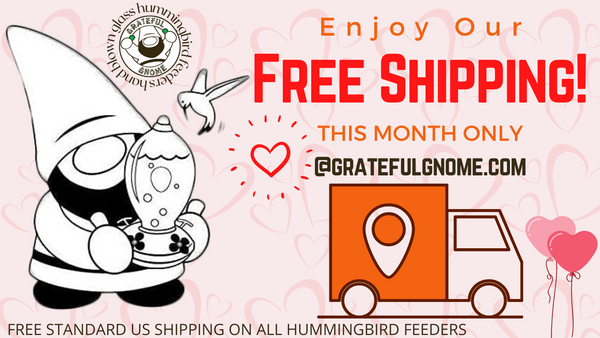 Free Standard US Shipping On All Hummingbird Feeders