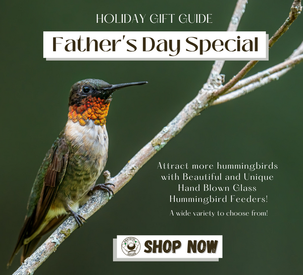 fathers-day-special-holiday-gift-ideas