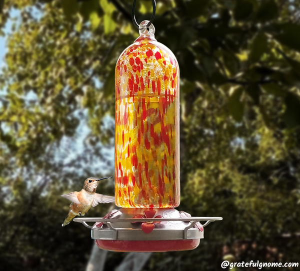 Attracting Hummingbirds To Your Yard