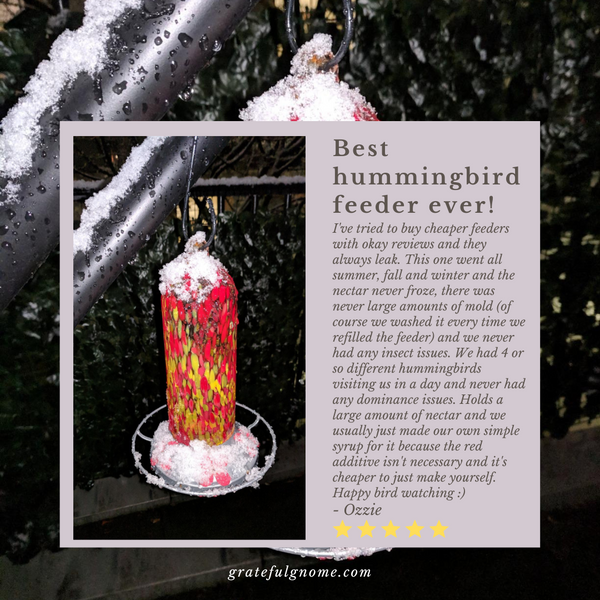 5 Star Hummingbird Feeder Review