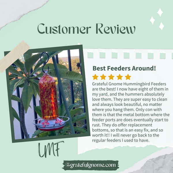 5 Star Hummingbird Feeder Review