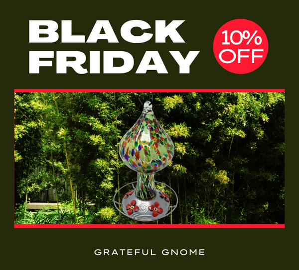 Black Friday Sale - 10% Off