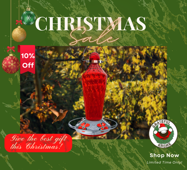 Christmas Sale 10% Off Deals
