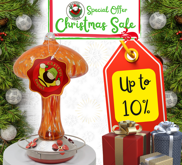 Christmas Sale 10% Discount