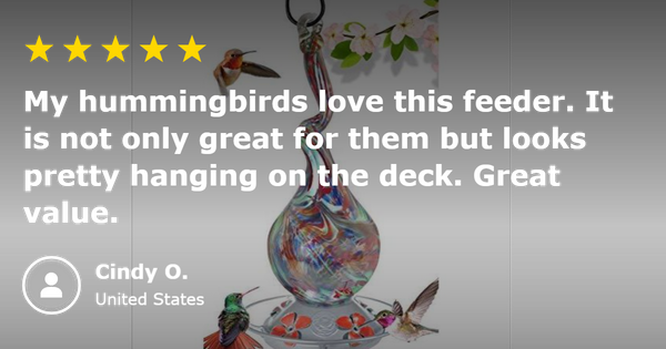 5 Star Review - Gnarly Glass Gourd Hummingbird Feeder