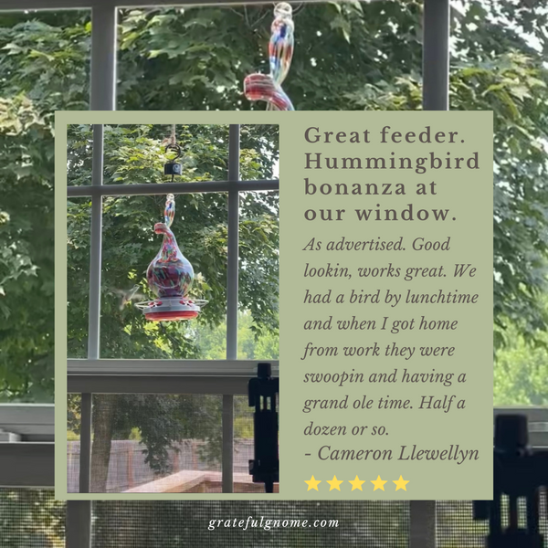 5 Star Hummingbird Feeder Review