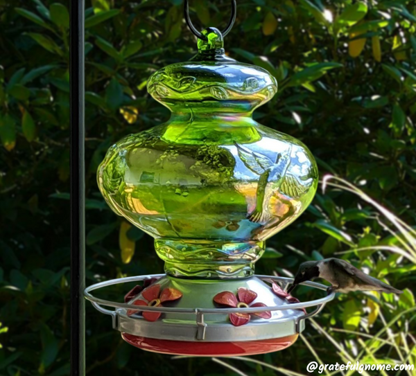 Attract Hummingbirds with Beautiful Blown Glass Hummingbird Feeder