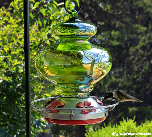 Green Hummingbird Hummingbird Feeder