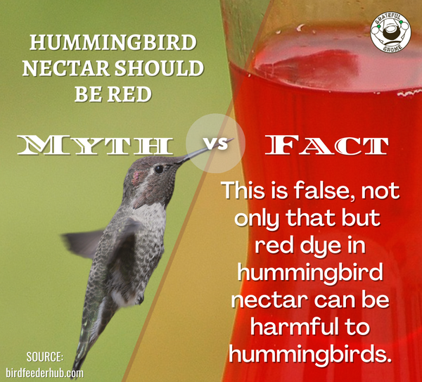 Myth vs. Fact