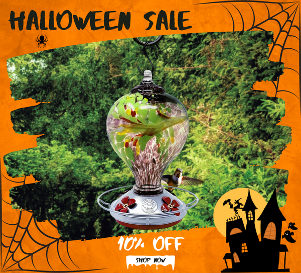 Halloween Sale - 10% Off