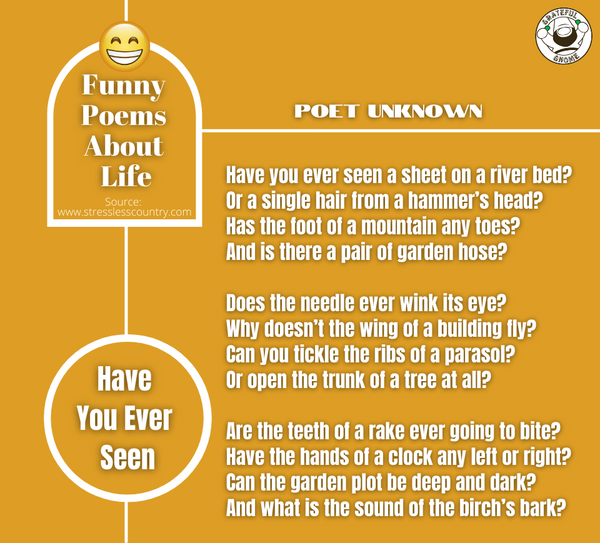 funny-poem-about-life