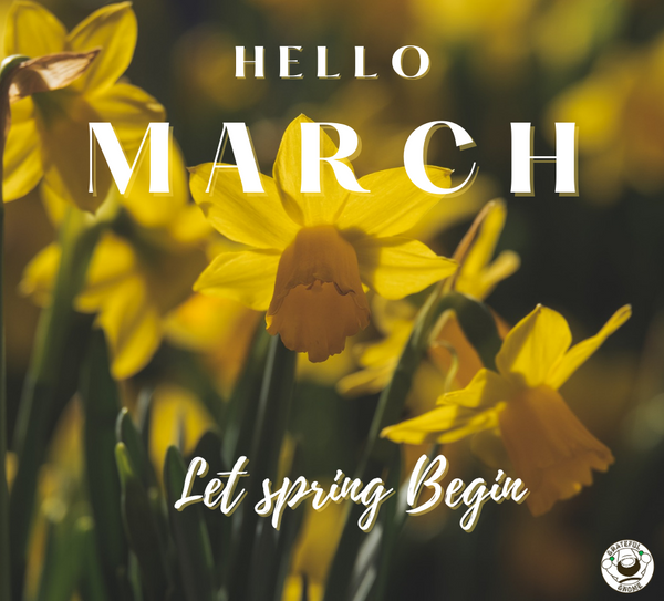 Hello March