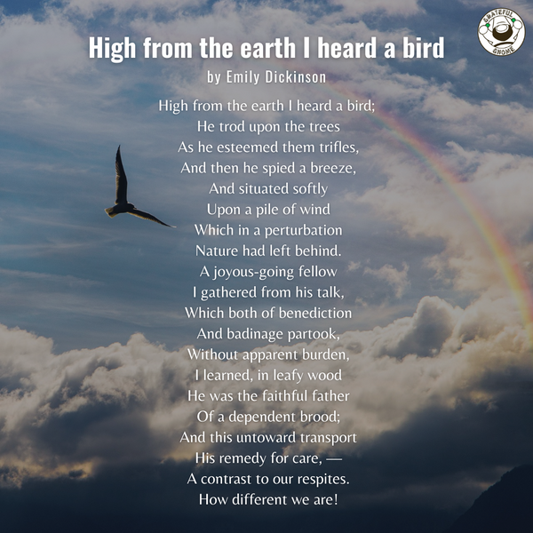 Bird Poems - High From The Earth I Heard A Bird