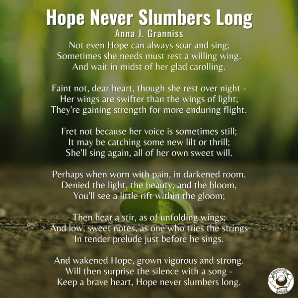 Life Poems - Hope Never Slumbers Long