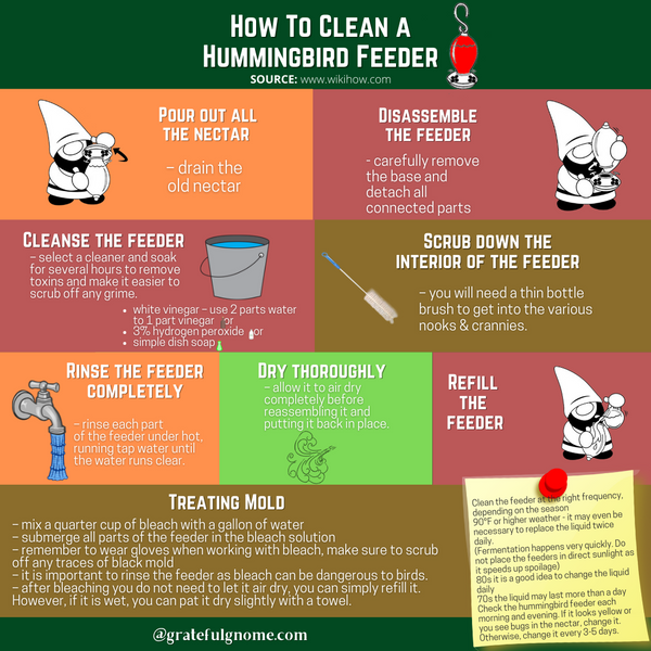 How To Clean A Hummingbird Feeder