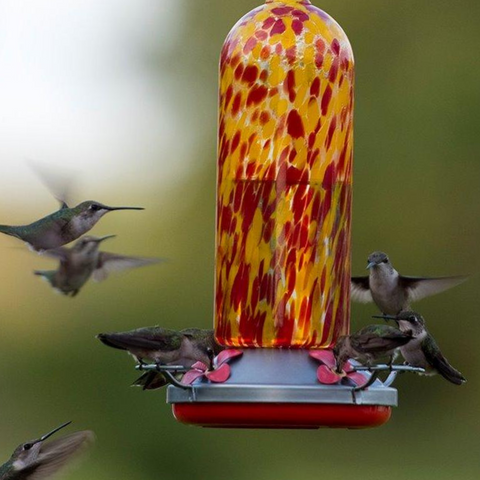 How can you attract hummingbirds to your yard