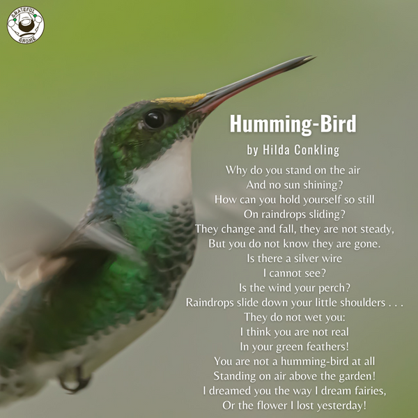 Bird Poems - Humming-Bird