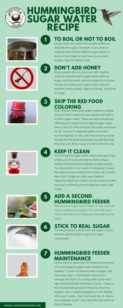 Hummingbird Sugar Water Recipe