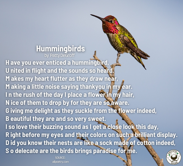 Poem of the Day - Hummingbirds