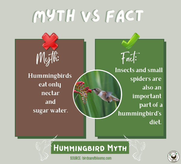 myth-vs-fact
