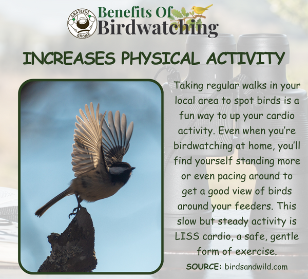 Benefits of Birdwatching