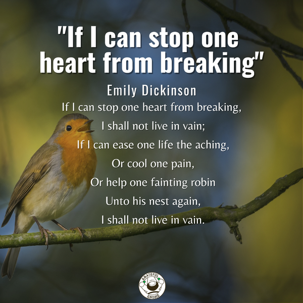 Inspirational Poems - If I Can Stop One Heart From Breaking