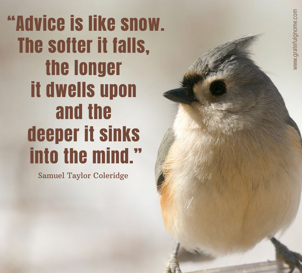 Inspirational Positive Quotes - Winter Quotes 