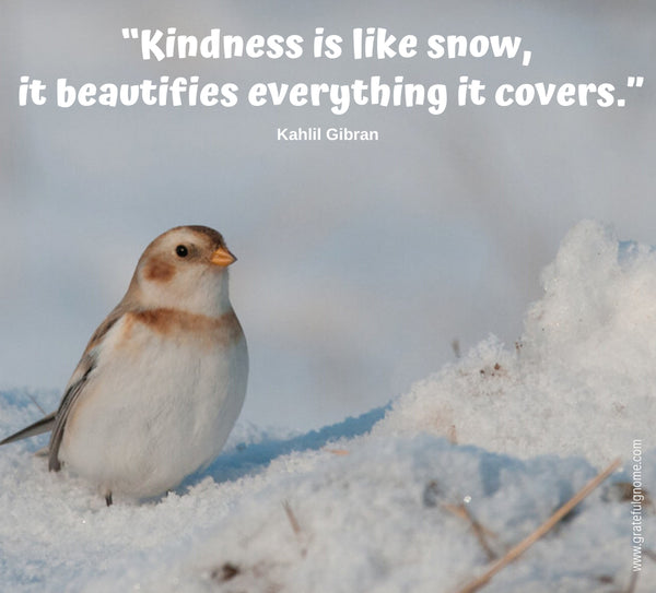 Inspirational Positive Quotes - Winter Quotes 