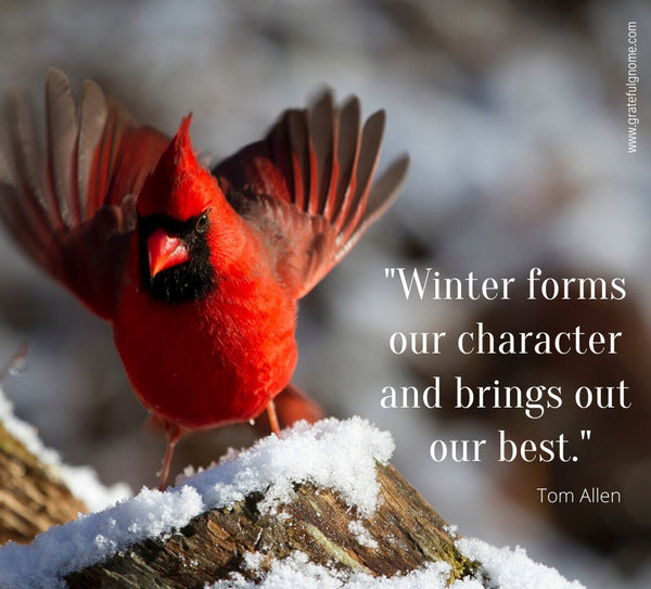 Inspirational Positive Quotes - Winter Quotes 
