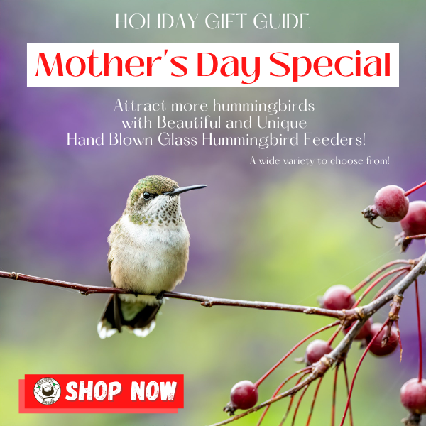 holiday-gift-guide-a-mothers-day-special