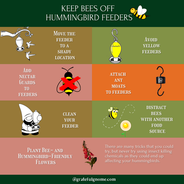 Keep Bees Off Hummingbird Feeders