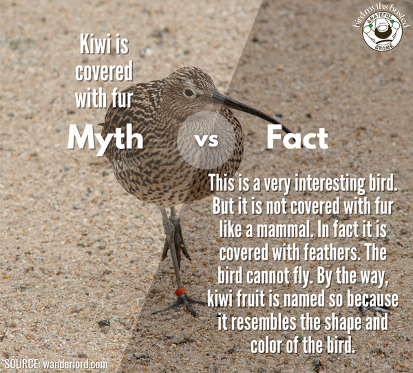 Myth vs Fact