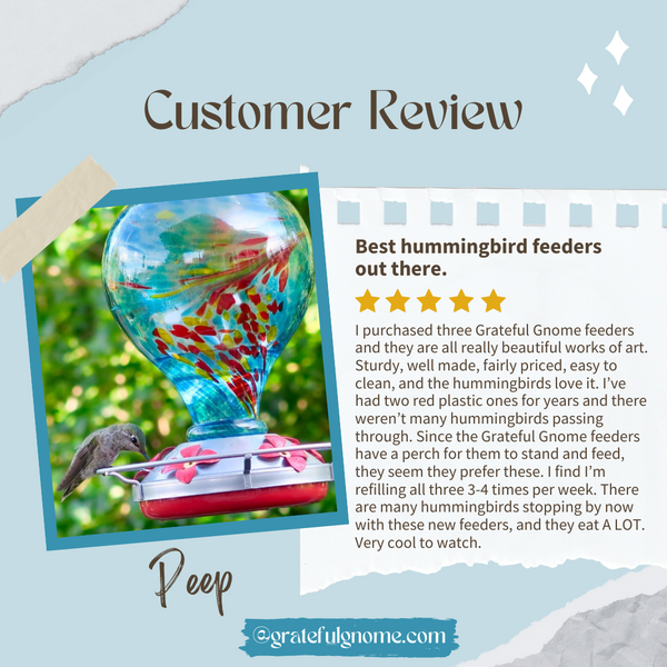 5 Star Hummingbird Feeder Review