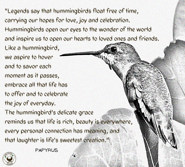 hummingbird-legend