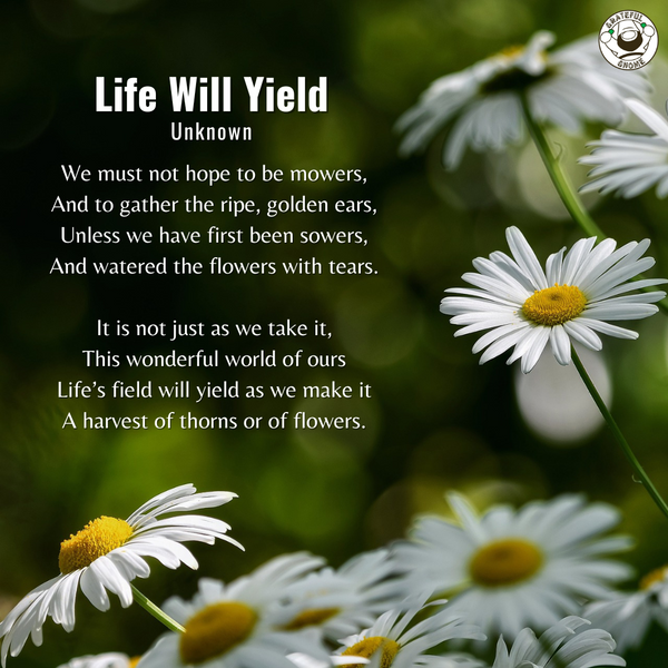 Life Poems - Life Will Yield