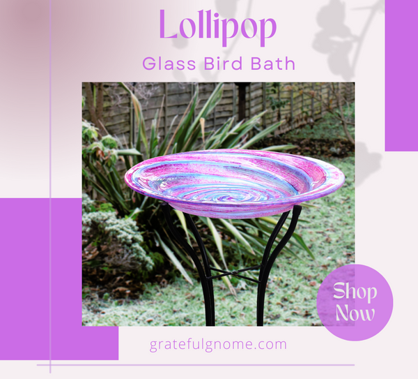 Lollipop Bird Bath with Stand and Solar Fountain