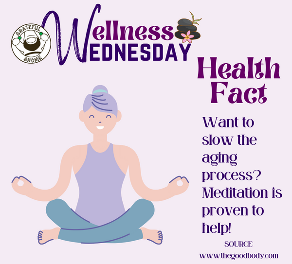 Wellness Health Fact