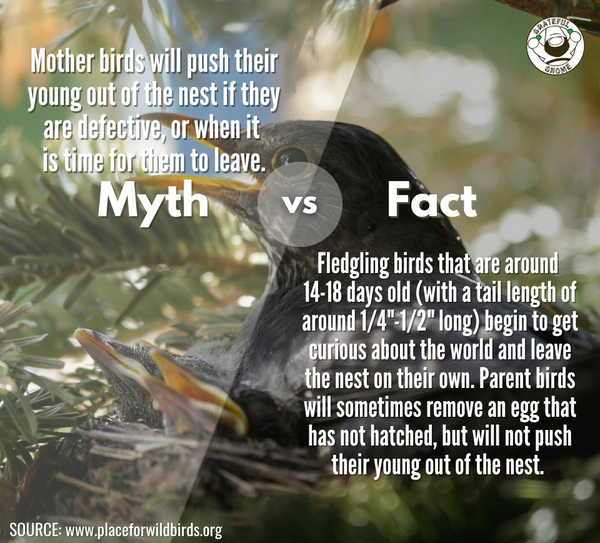 Myth vs Fact