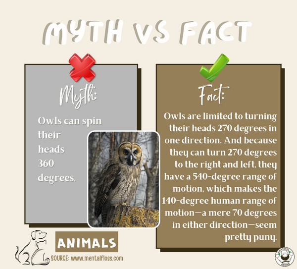 myth-vs-fact