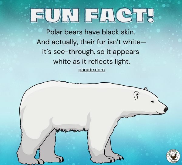 Fun Fact