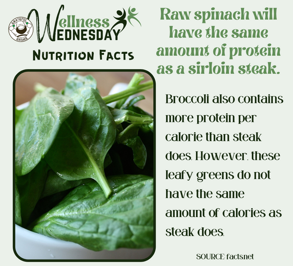 Wellness Nutrition Fact
