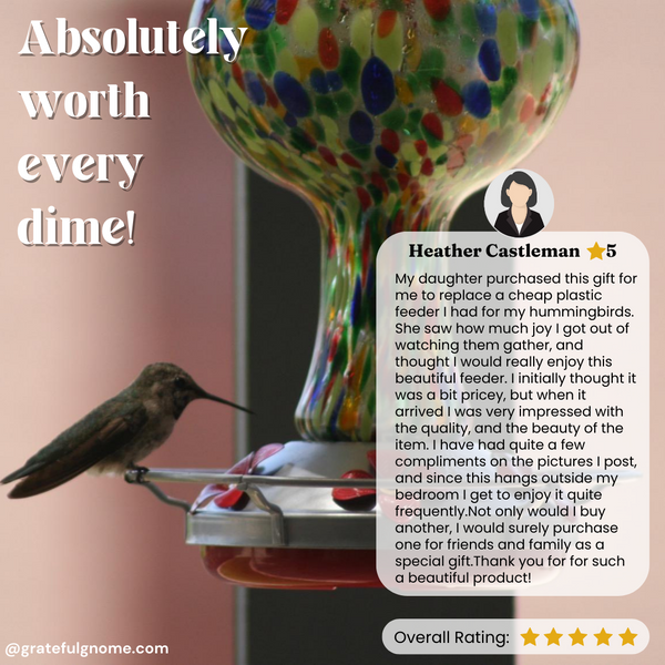 5 Star Hummingbird Feeder Review