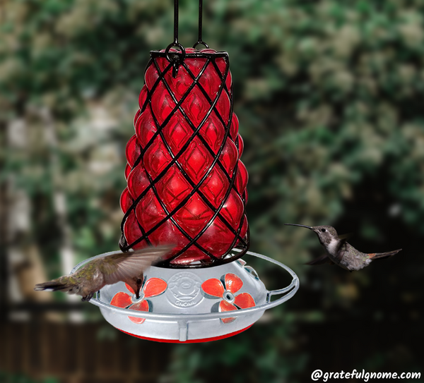 Red SpiderBird Lantern  Hummingbird Feeder