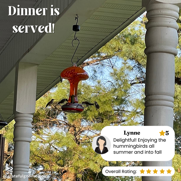 5 Star Review